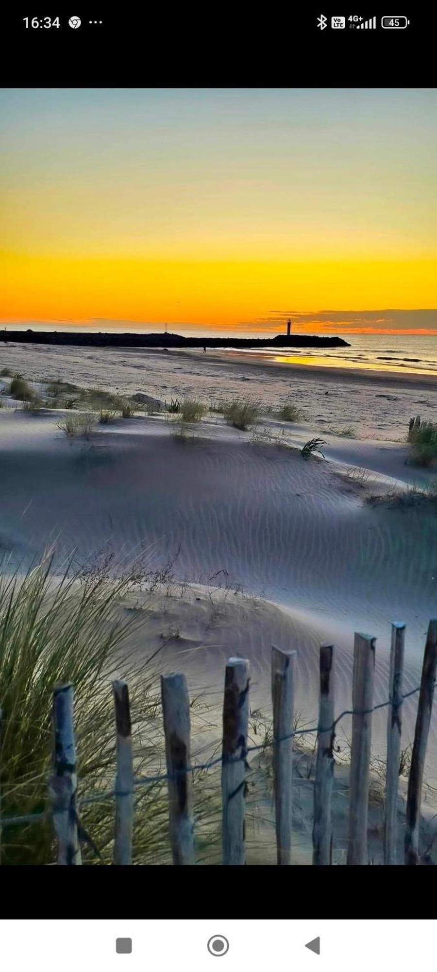 Studio Au Cap D'Agde Dans Les Pinedes Bagian luar foto